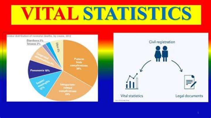 Alicia Menendez: Key Measurements And Vital Statistics