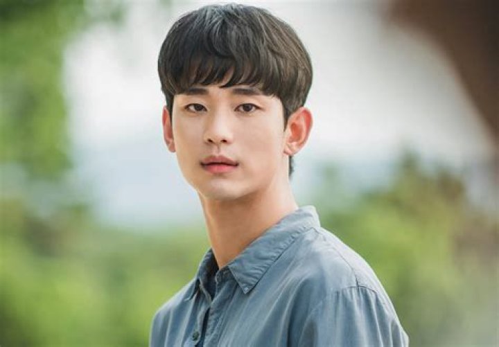Complete Guide: Uncovering The Sibling Of Kim Soo Hyun