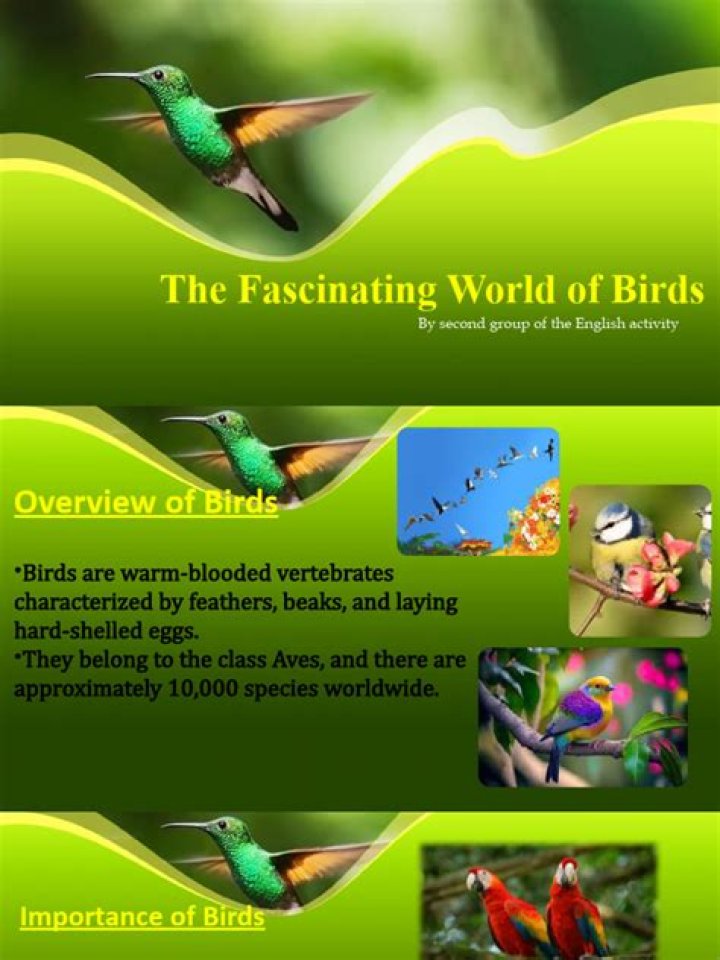 Discovering The Fascinating World Of HD Move Hub