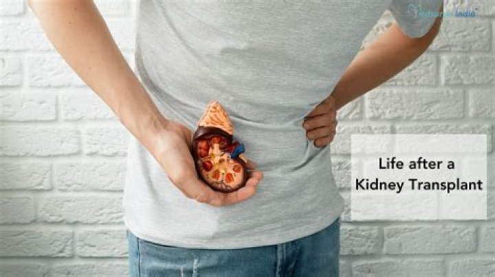 Embracing Life After Surgery: The Journey Of Healing A Kidney Transplant Scar