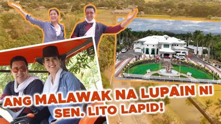 Exploring The Life And Legacy Of Lito Lapid's Spouse