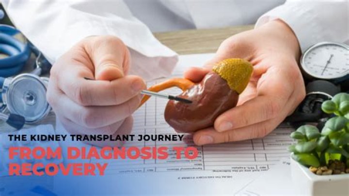 Rediscovering Life: The Journey Of Kidney Transplant
