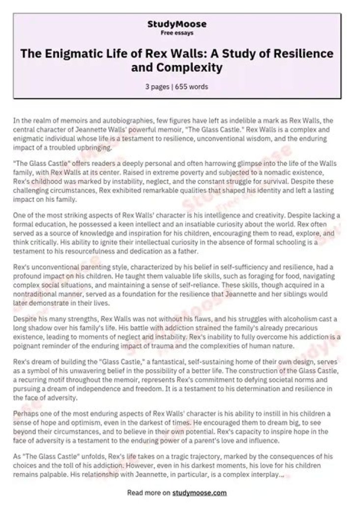 The Enigmatic Life Of La Compagne De Slimane