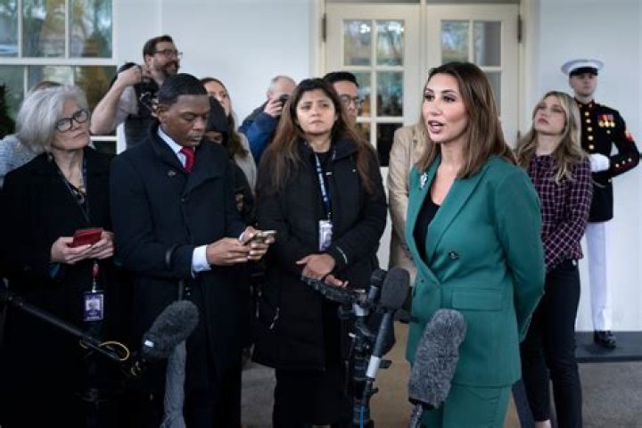 Uncovering Alina Habba's Children: Names And Family Insight